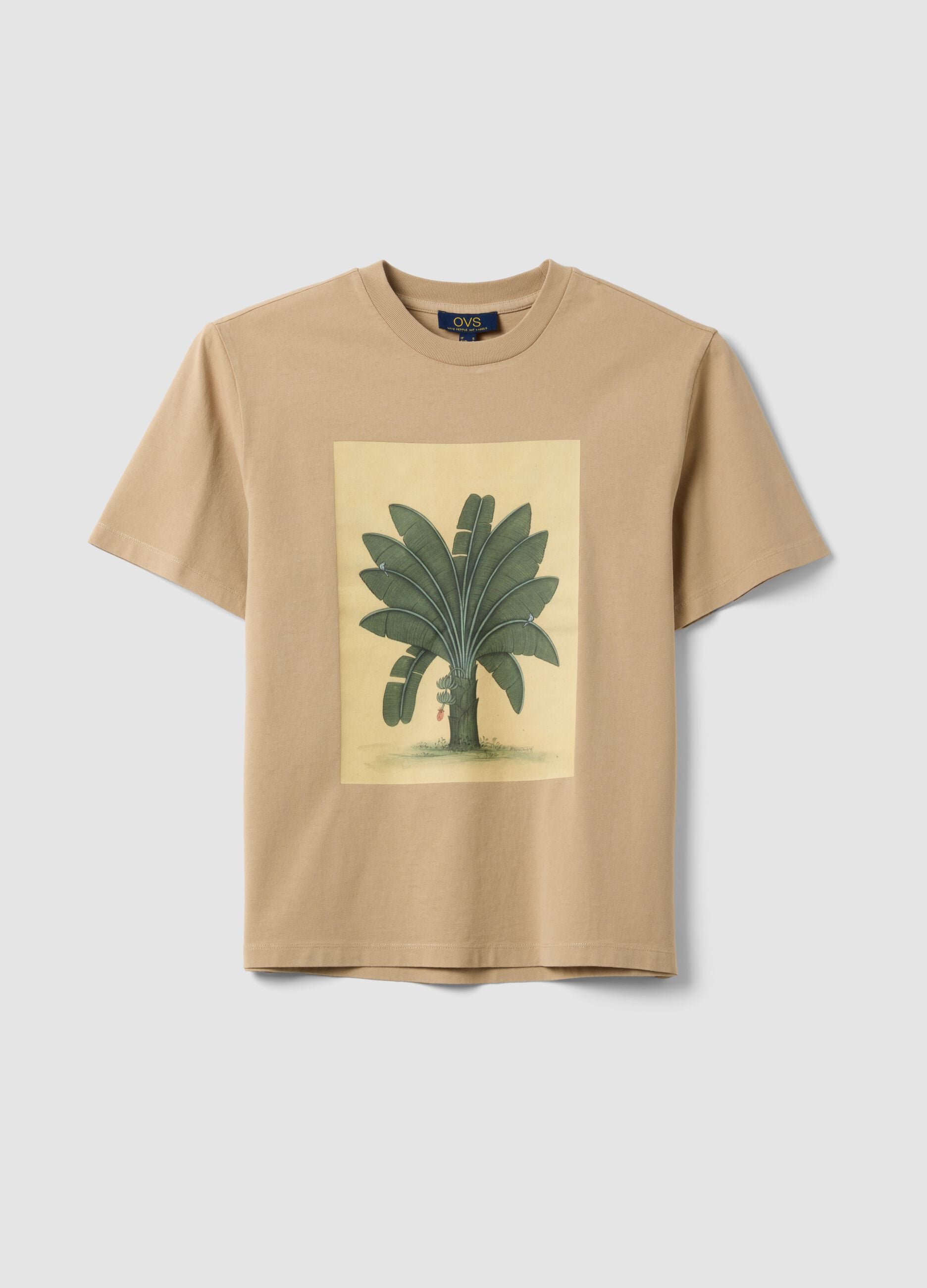 Beige pure cotton T-shirt with front print