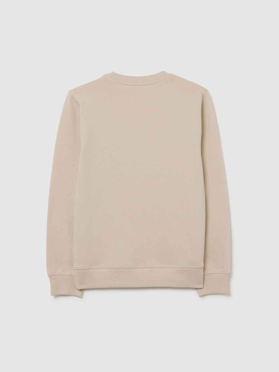 Felpa da ragazzo in puro cotone beige regular fit con scollo rotondo_1