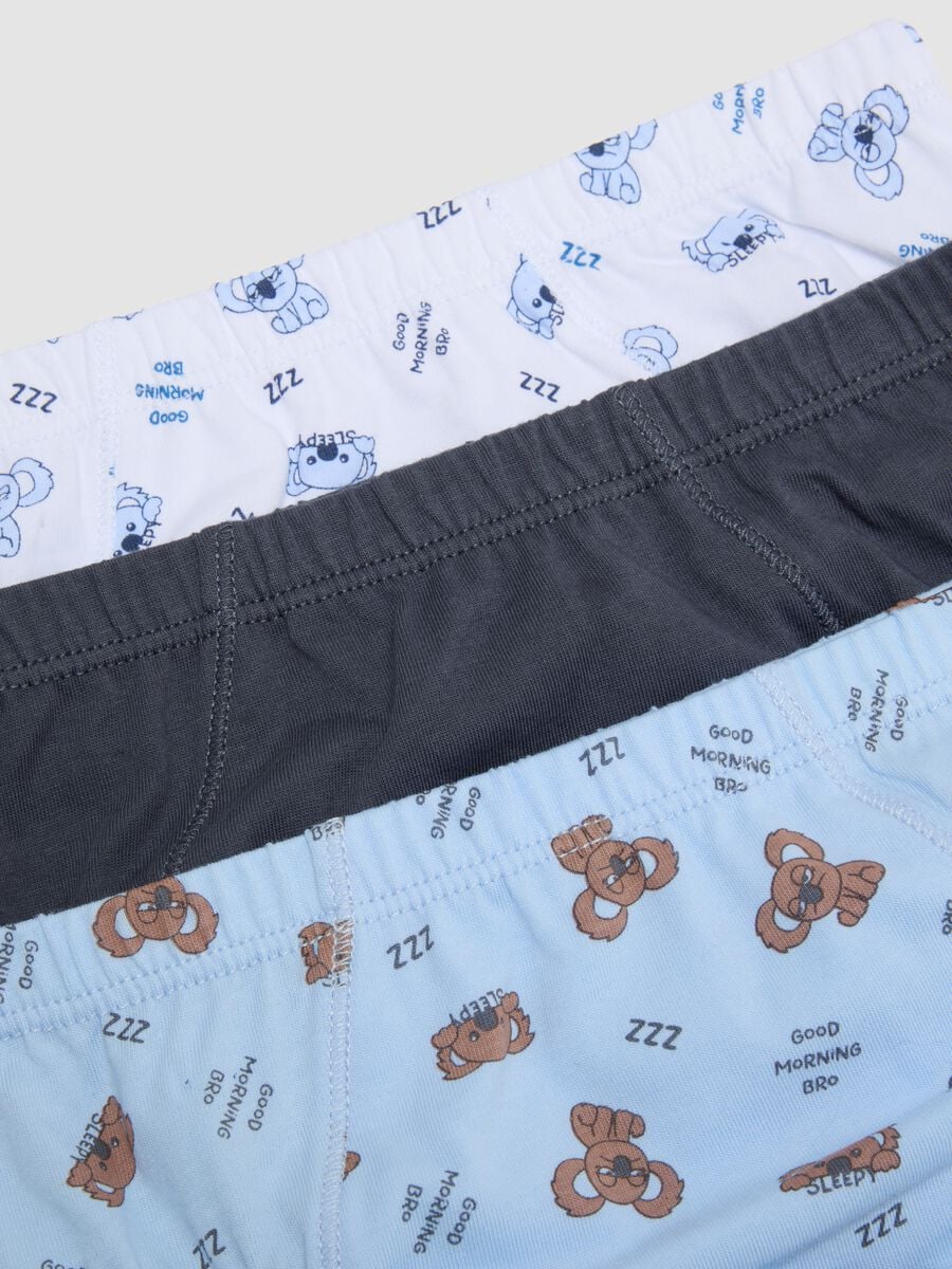 Pack of five multicolour boys&rsquo; briefs in pure organic cotton_3