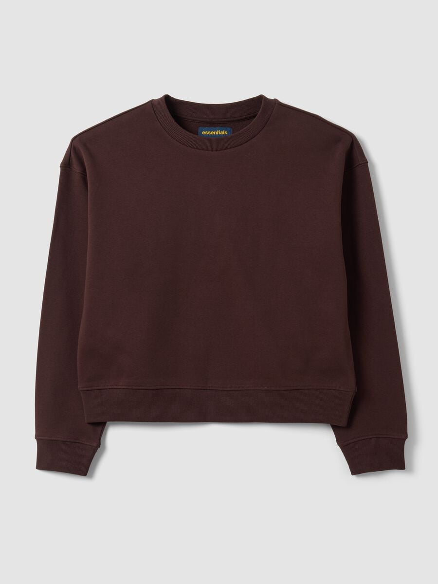 Felpa marrone in misto cotone a girocollo regular fit_4