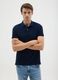 Men's pure cotton blue regular fit polo shirt_1