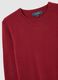 Red regular fit crew neck jumper_5