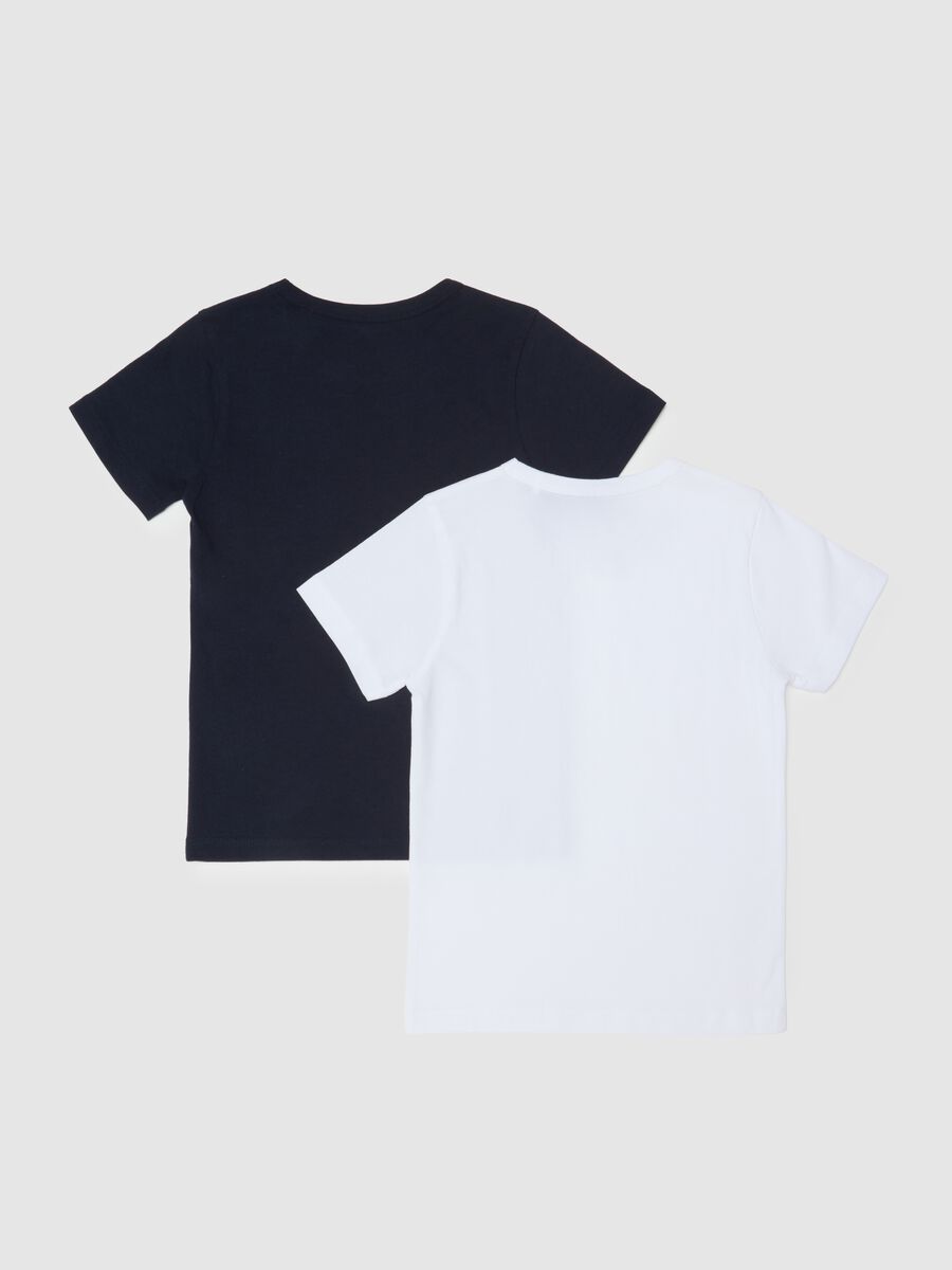 Kids' multicolour regular fit cotton t-shirt twin pack_1