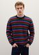 Multicolour Stripe Regular Fit Sweater_1