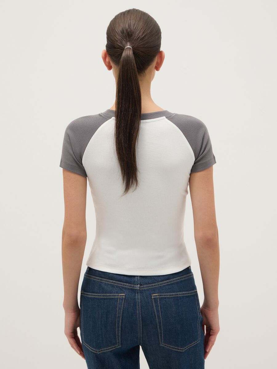 Multicolour pure cotton regular fit T-shirt with Rolling Stones print_2