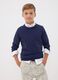 Blue long-sleeve pure cotton regular-fit top for boys_0
