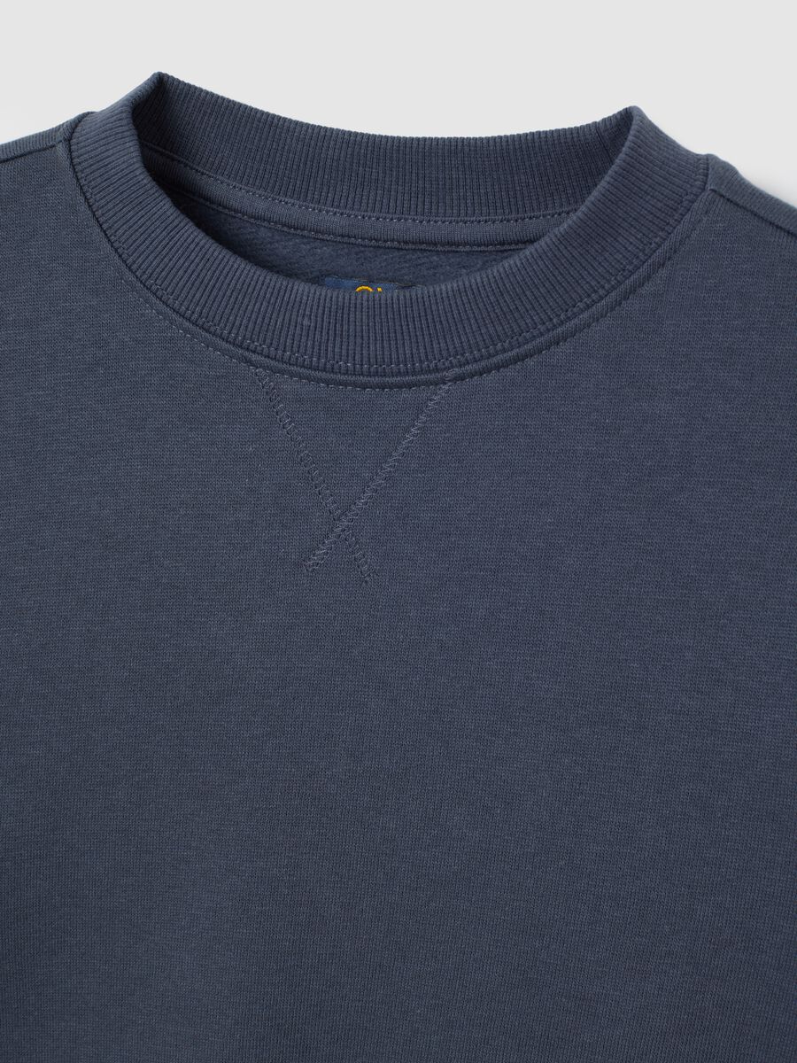 Blue Regular Fit Pure Cotton Children's Sweatshirt_2