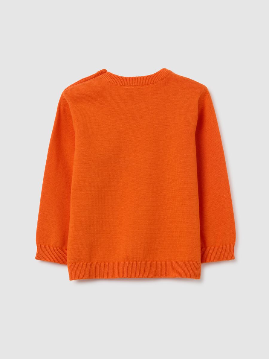Orange Pure Cotton Baby Sweater_1