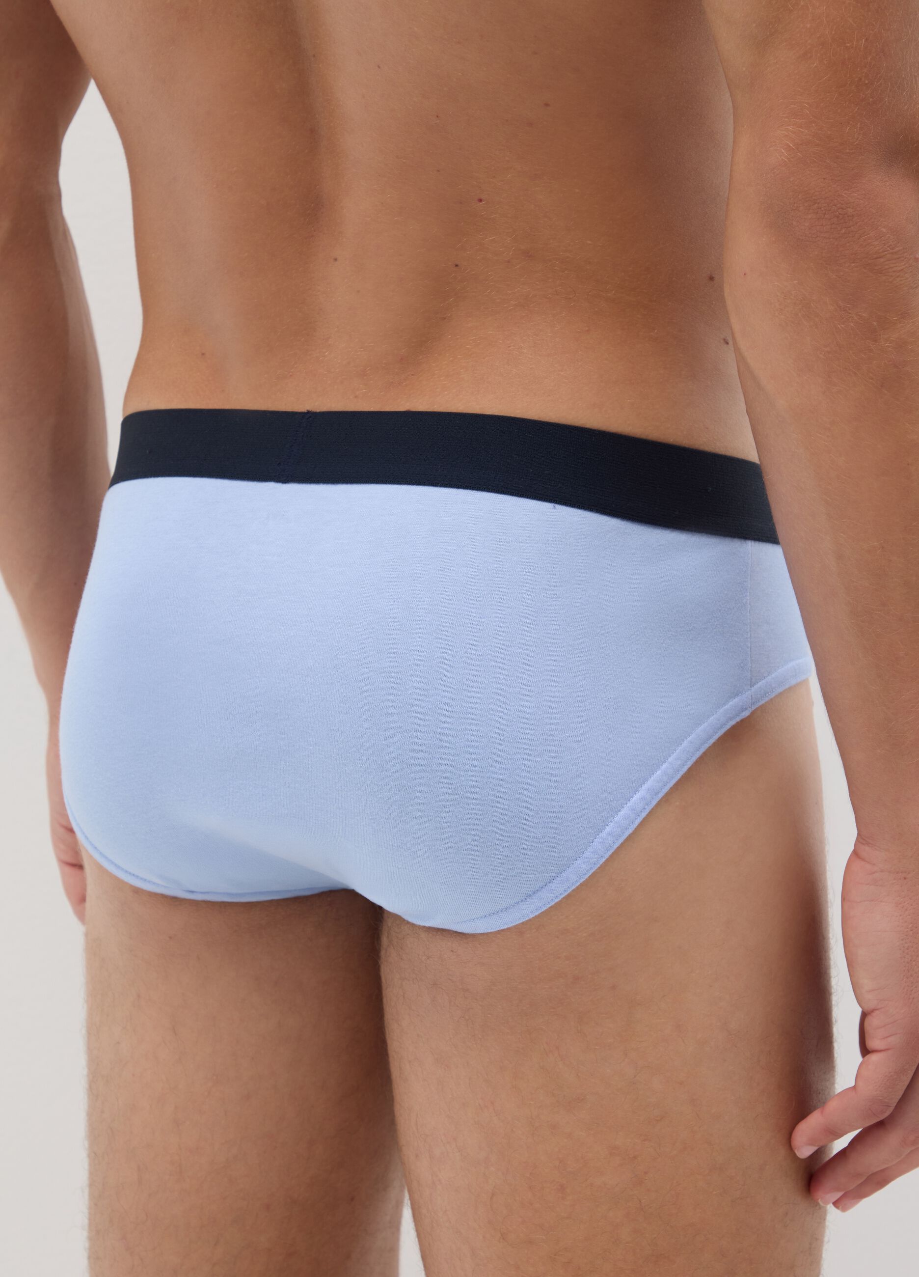 Set of multipack pure cotton multicolour regular fit briefs