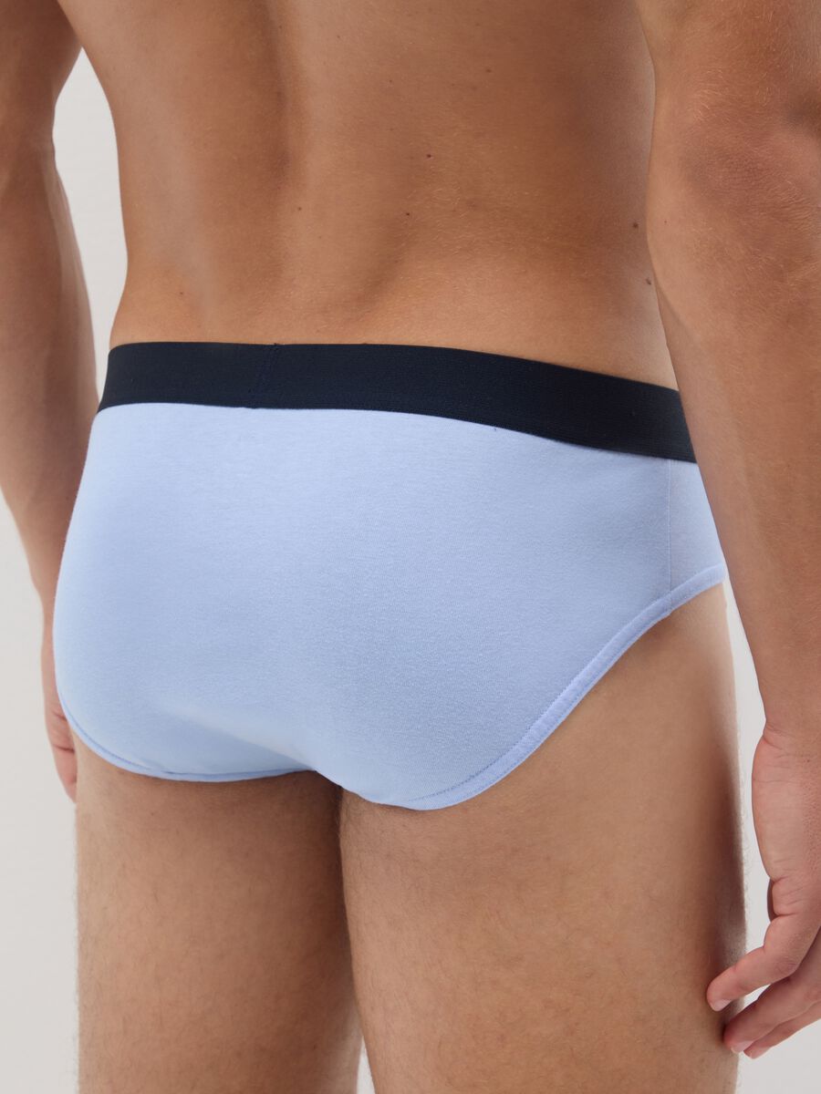 Set of multipack pure cotton multicolour regular fit briefs_2