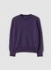 Purple pure wool long-sleeve jumper, regular fit_3