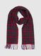 Multicoloured plaid pure wool scarf with fringes_1