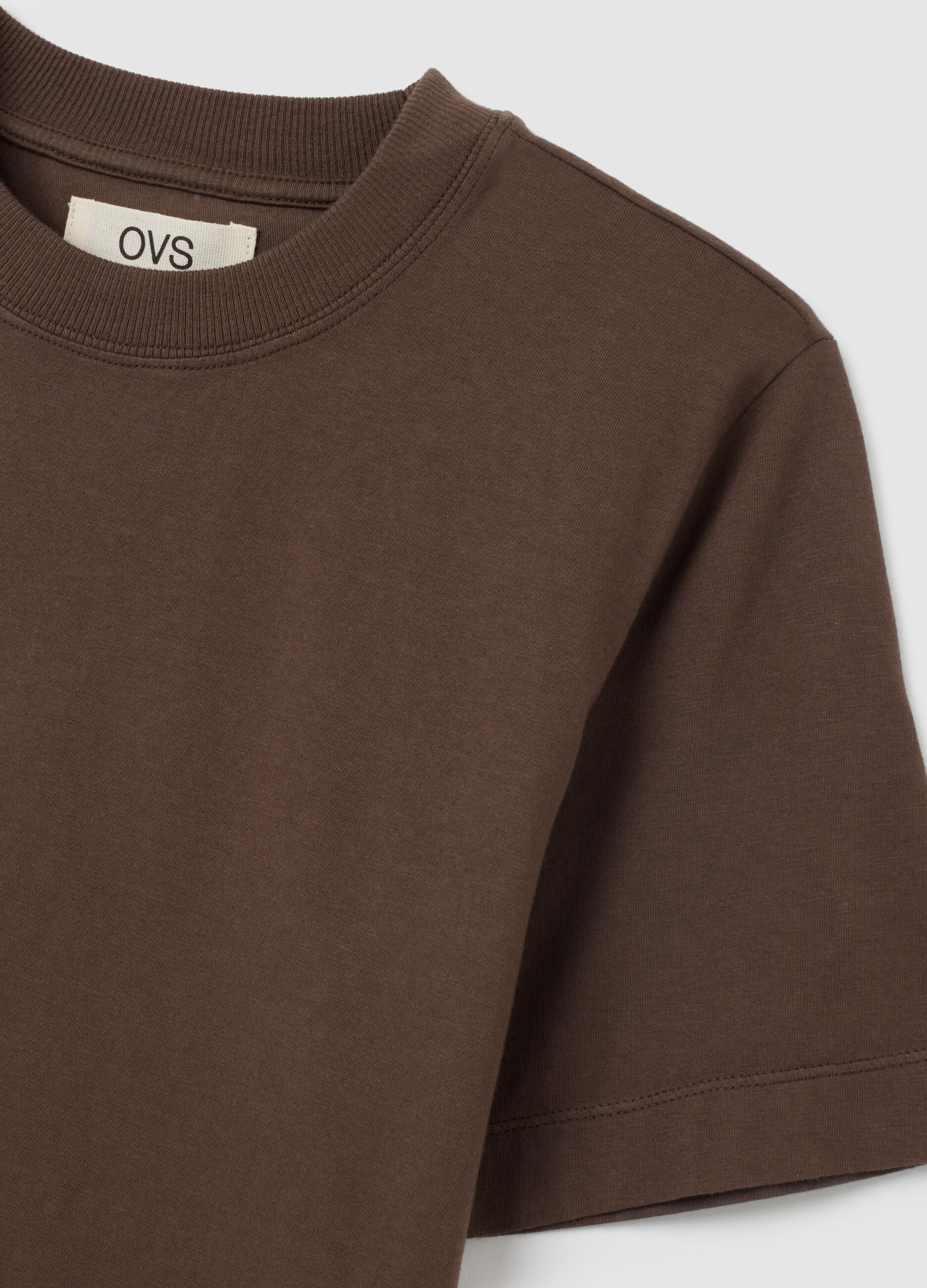 Brown T-shirt in pure Italian cotton regular fit