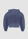 Sunfaded Full-Zip Hoodie Twilight_1
