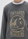 Grey Cotton Regular Fit Boy's Sweatshirt_2