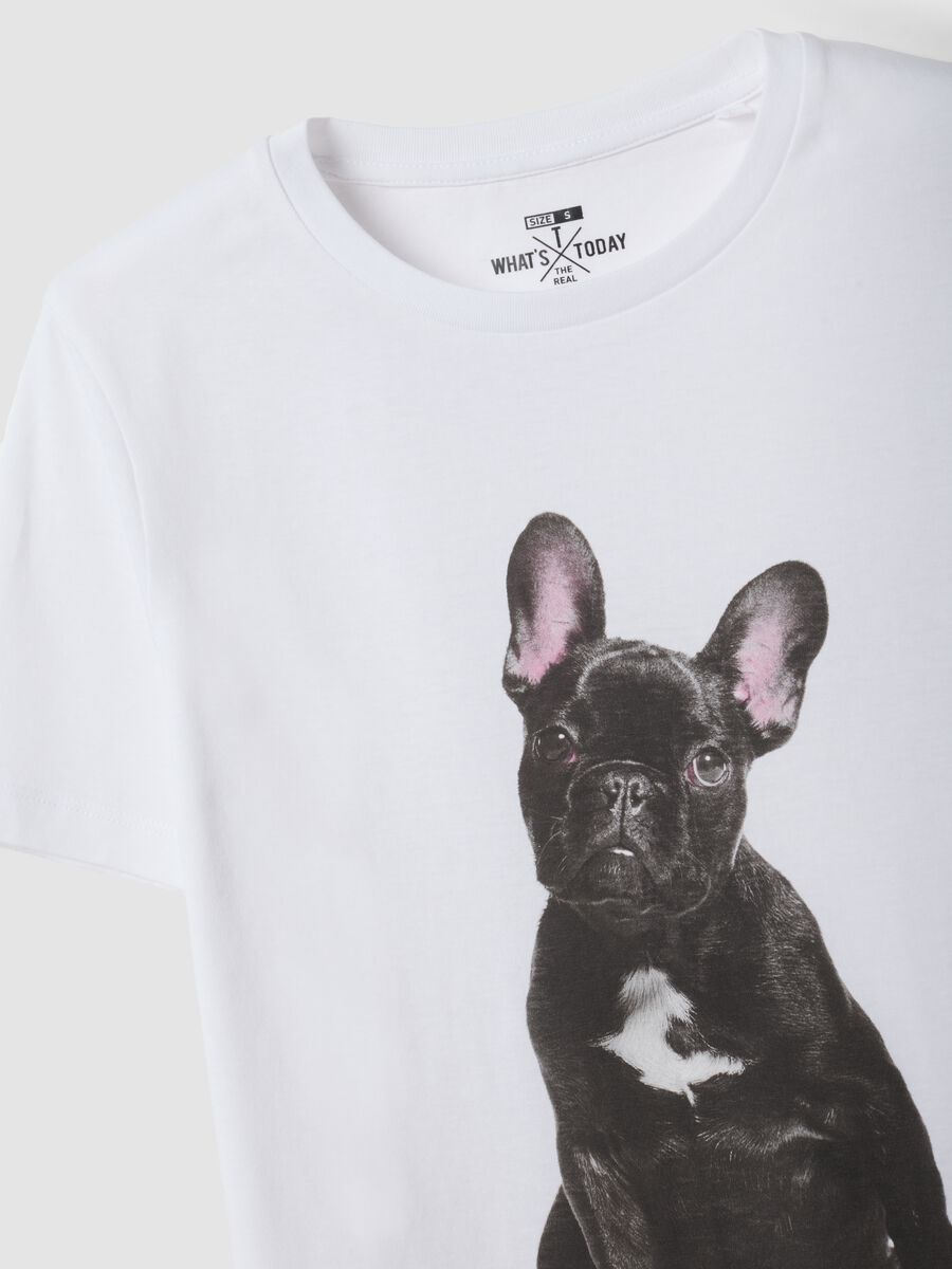 White pure cotton crew-neck T-shirt with puppy print, regular fit_6