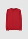 Boy's Red Cotton Crew Neck Sweatshirt in Regular Fit_3
