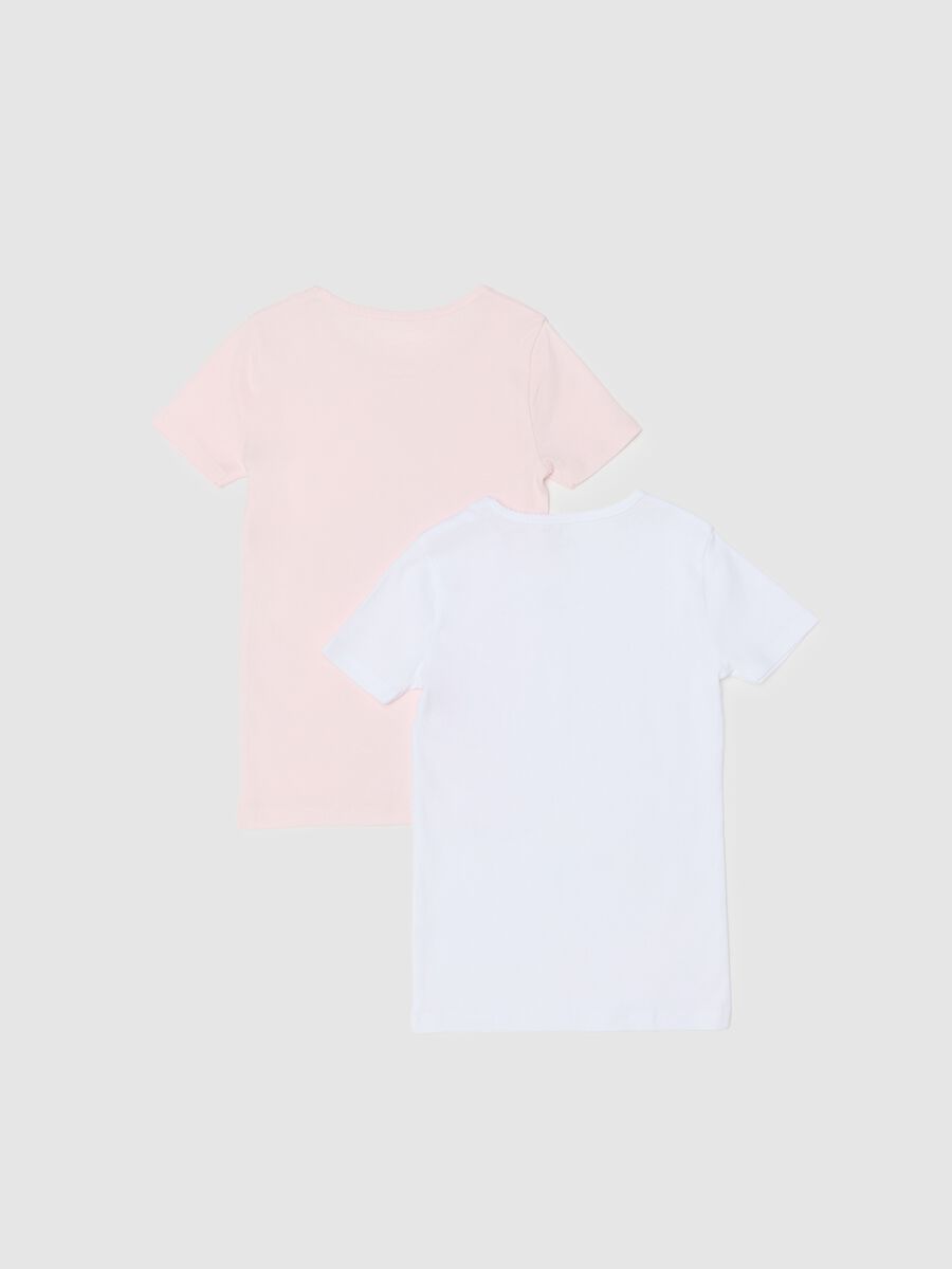 Girls' multicolour t-shirt twin-pack in pure cotton regular fit_1