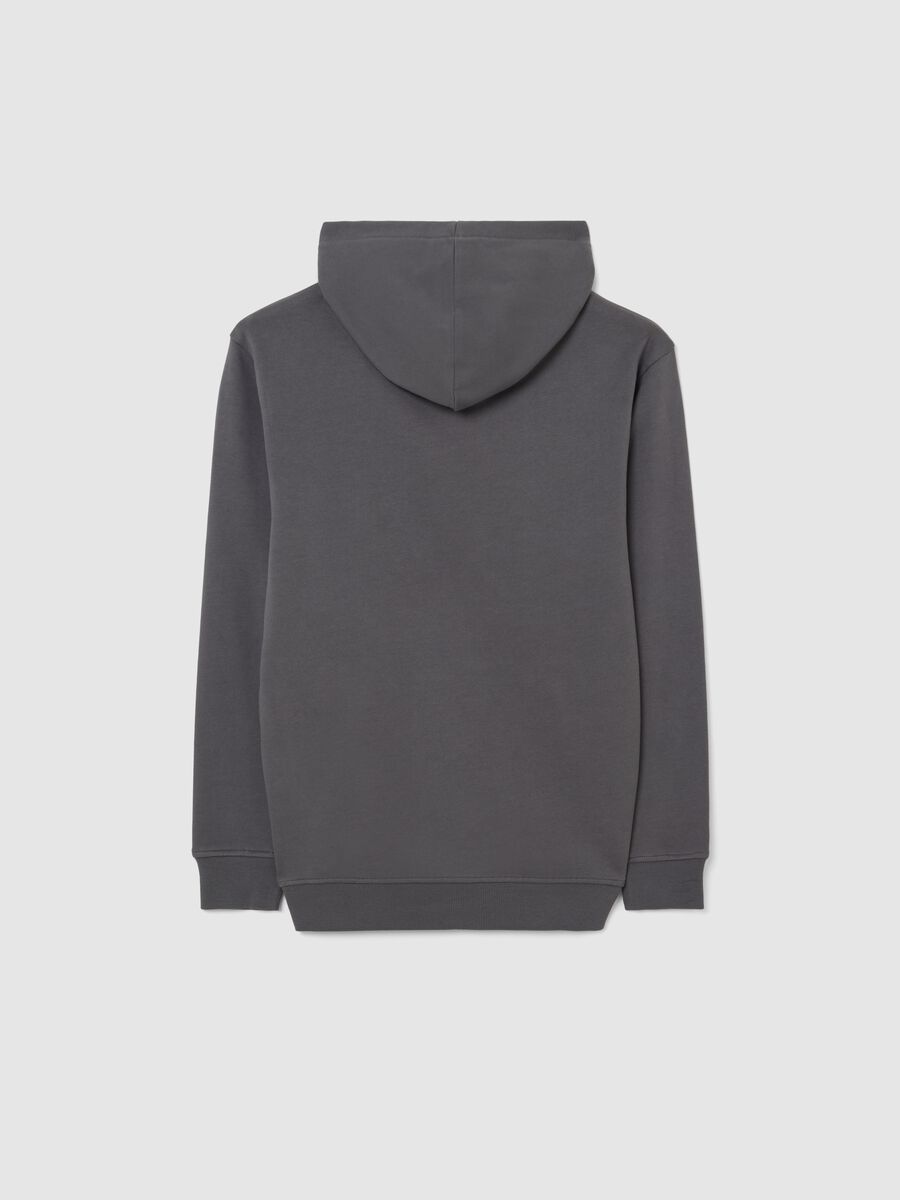 Boys' Gray Hooded Sweatshirt in Pure Cotton Regular Fit_1