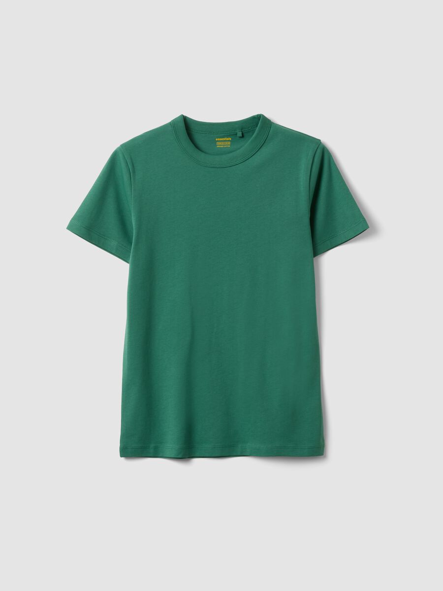 T-shirt in puro cotone verde da ragazzo regular fit_3