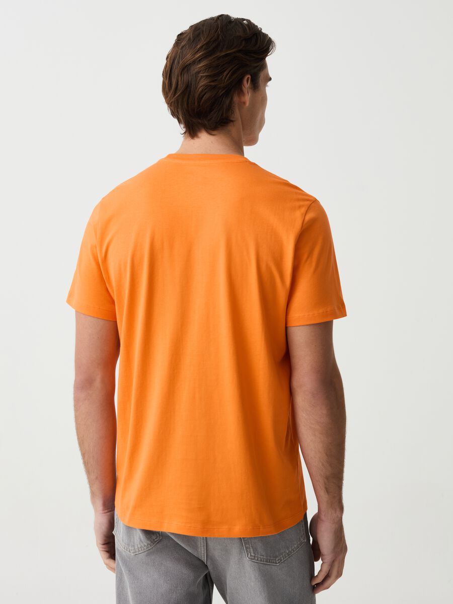 T-shirt girocollo in cotone bio_2