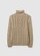 Beige Regular Fit Turtleneck Sweater with Cable Design_1