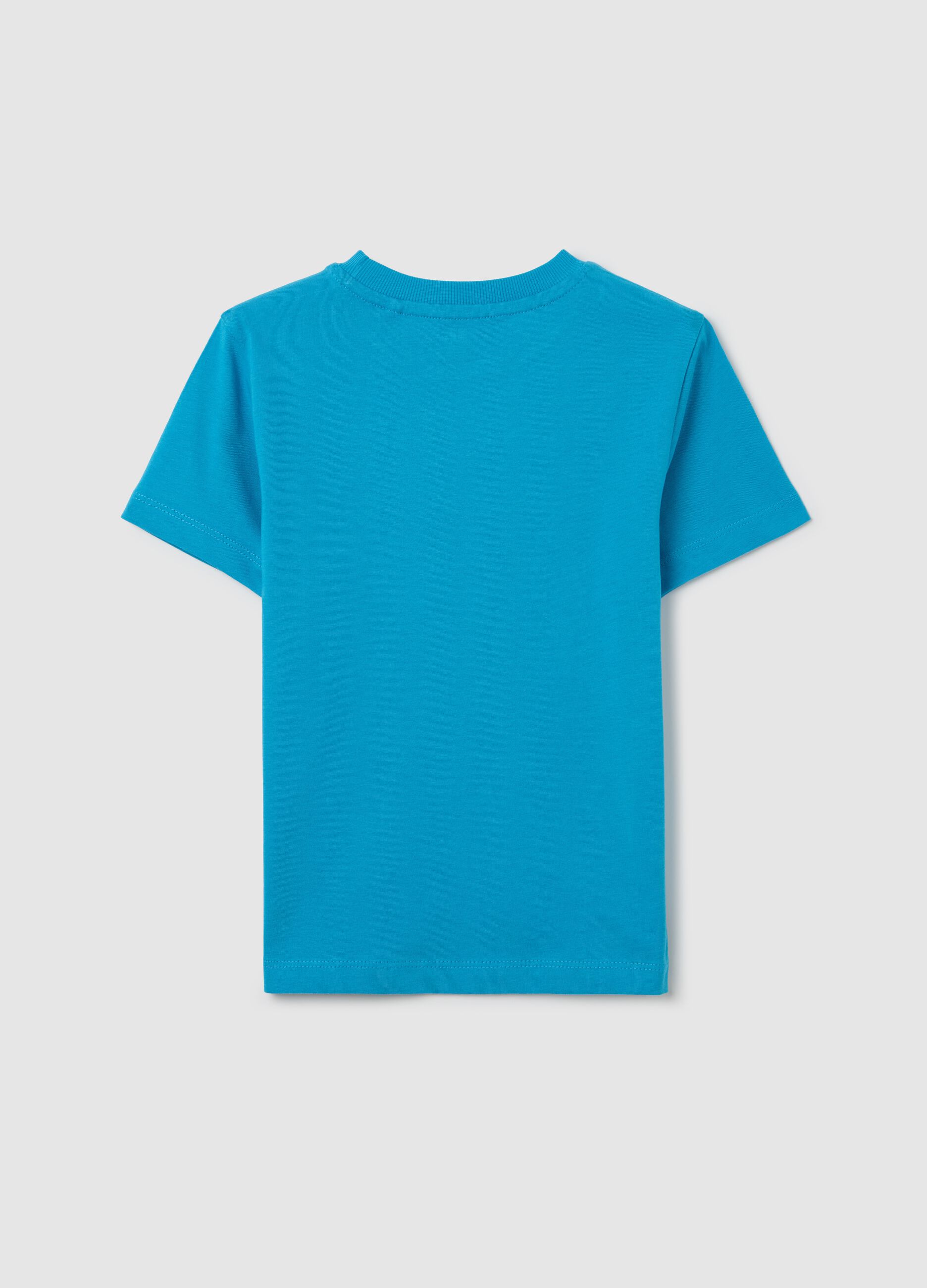 Light blue T-shirt in cotton with "Danger Zone" print