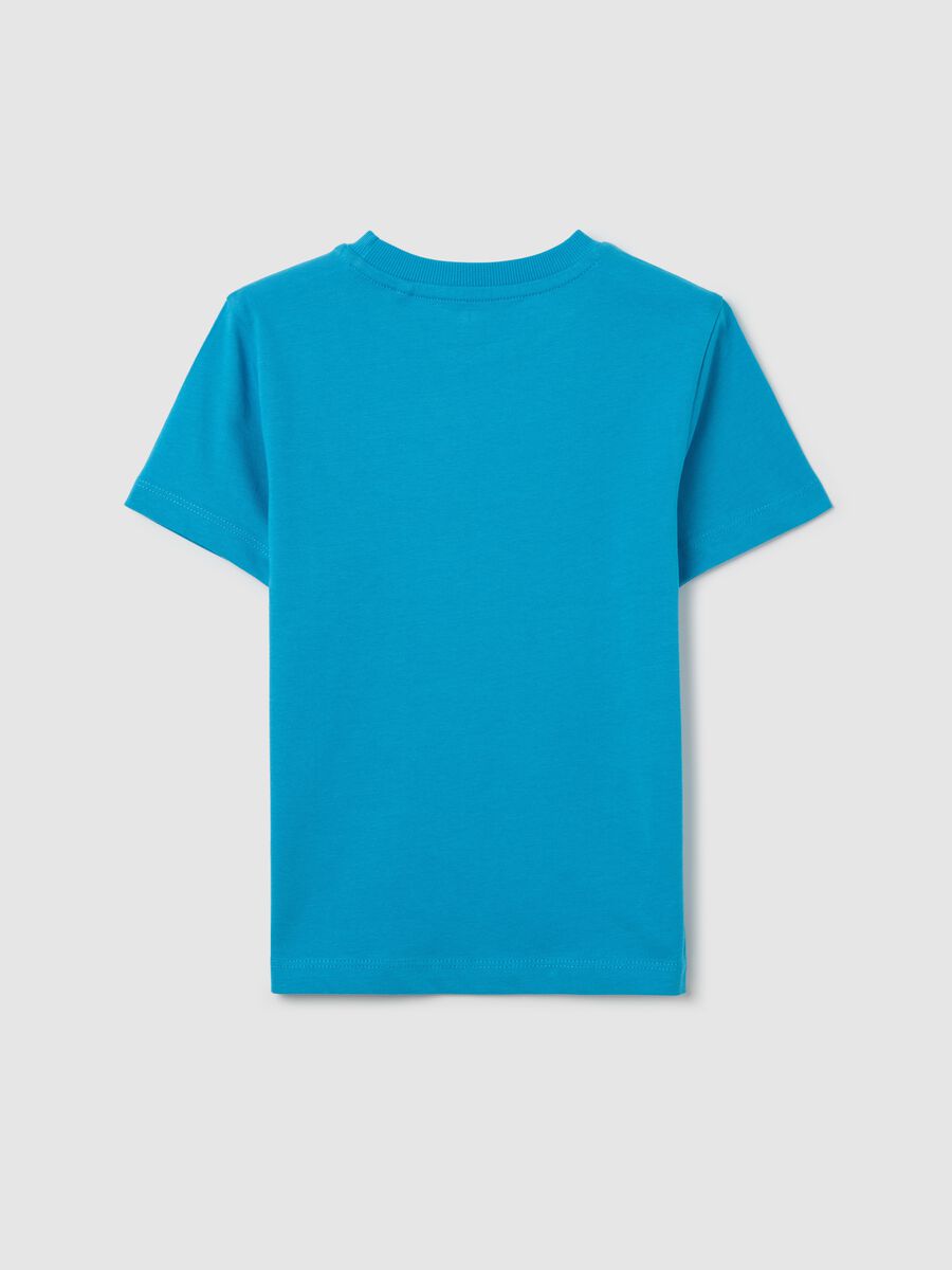 Light blue T-shirt in cotton with "Danger Zone" print_1