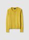 Yellow Crew Neck Regular Fit Cardigan_4