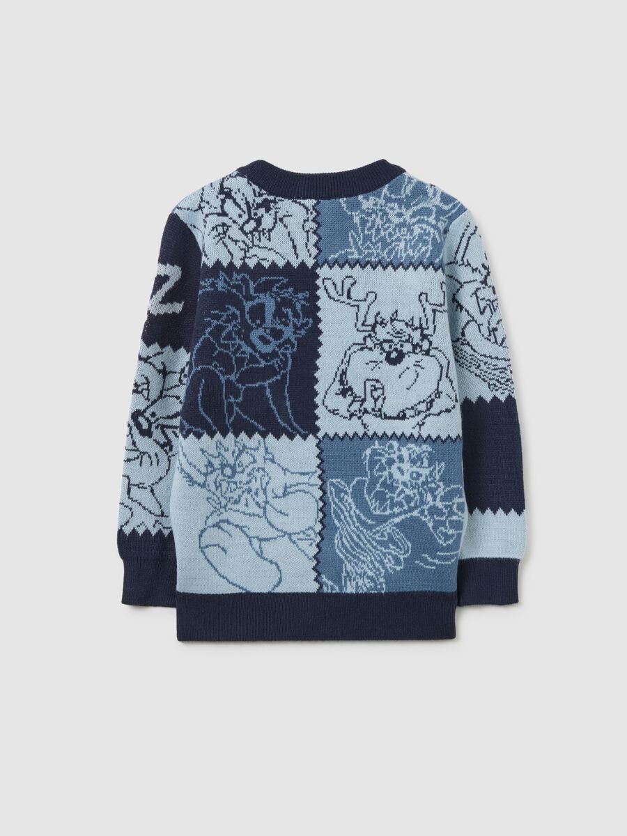 Multicolor crew neck pullover regular fit with Looney Tunes prints_1