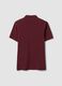 Red pure cotton piqu&eacute; polo shirt with classic collar, regular fit_5