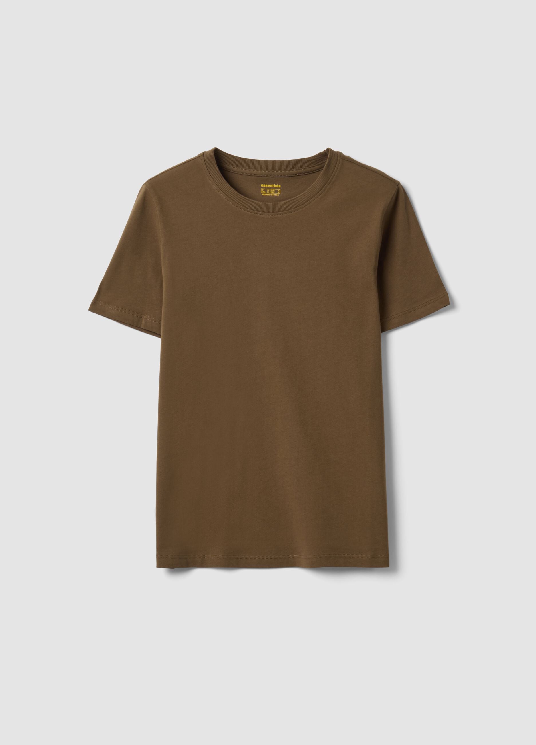 Green crew-neck T-shirt in pure organic cotton, regular fit