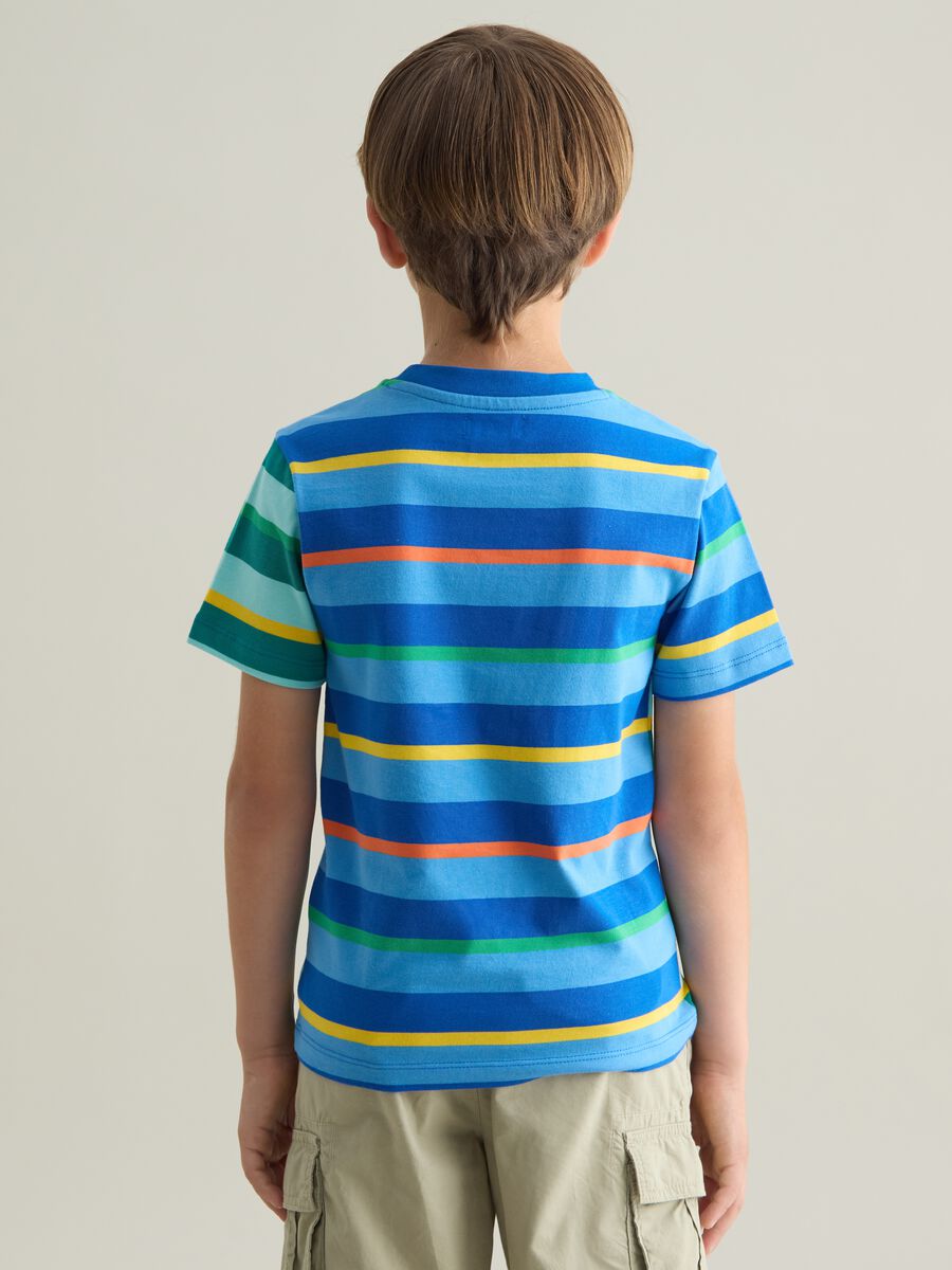 Children's T-shirt in pure multicolour cotton regular fit_2