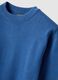 Children's Regular Fit Blue Cotton Crew Neck Jumper_2