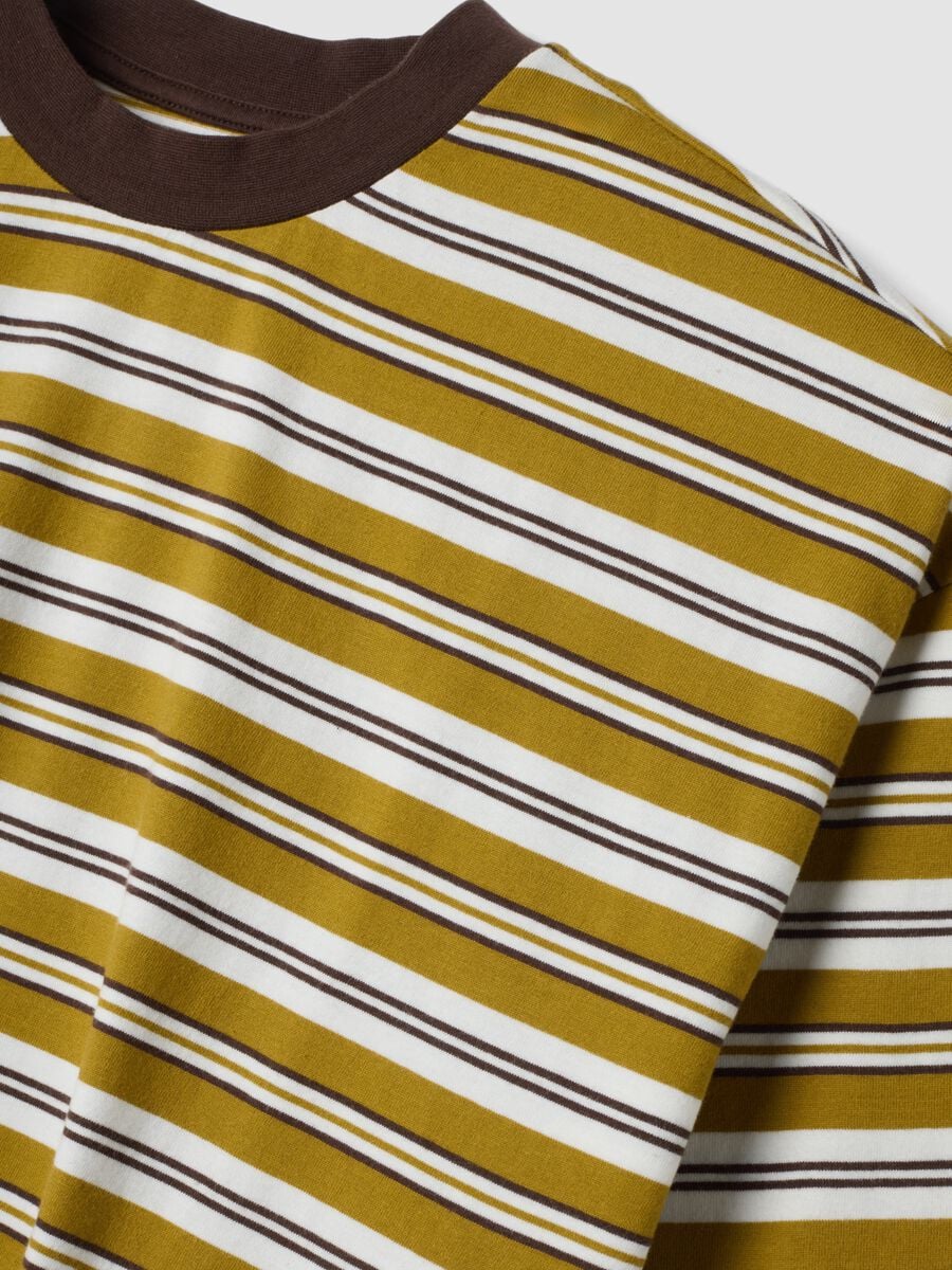 Brown striped pure cotton boxy-fit T-shirt_5