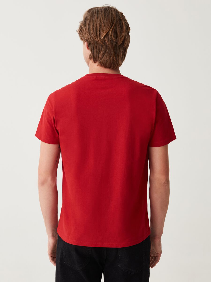 T-shirt con stampa orso natalizio_2