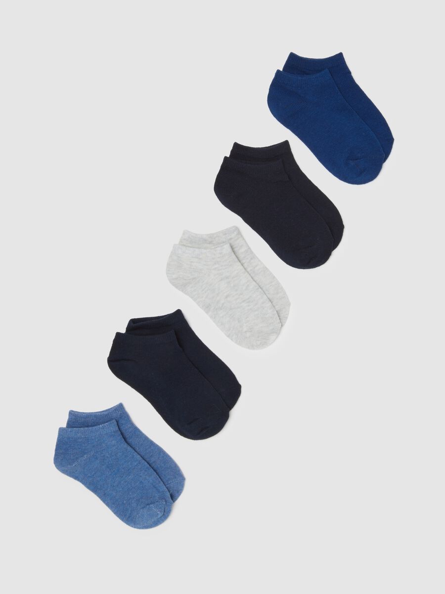 Boys' Multicolour Cotton Blend Socks_0
