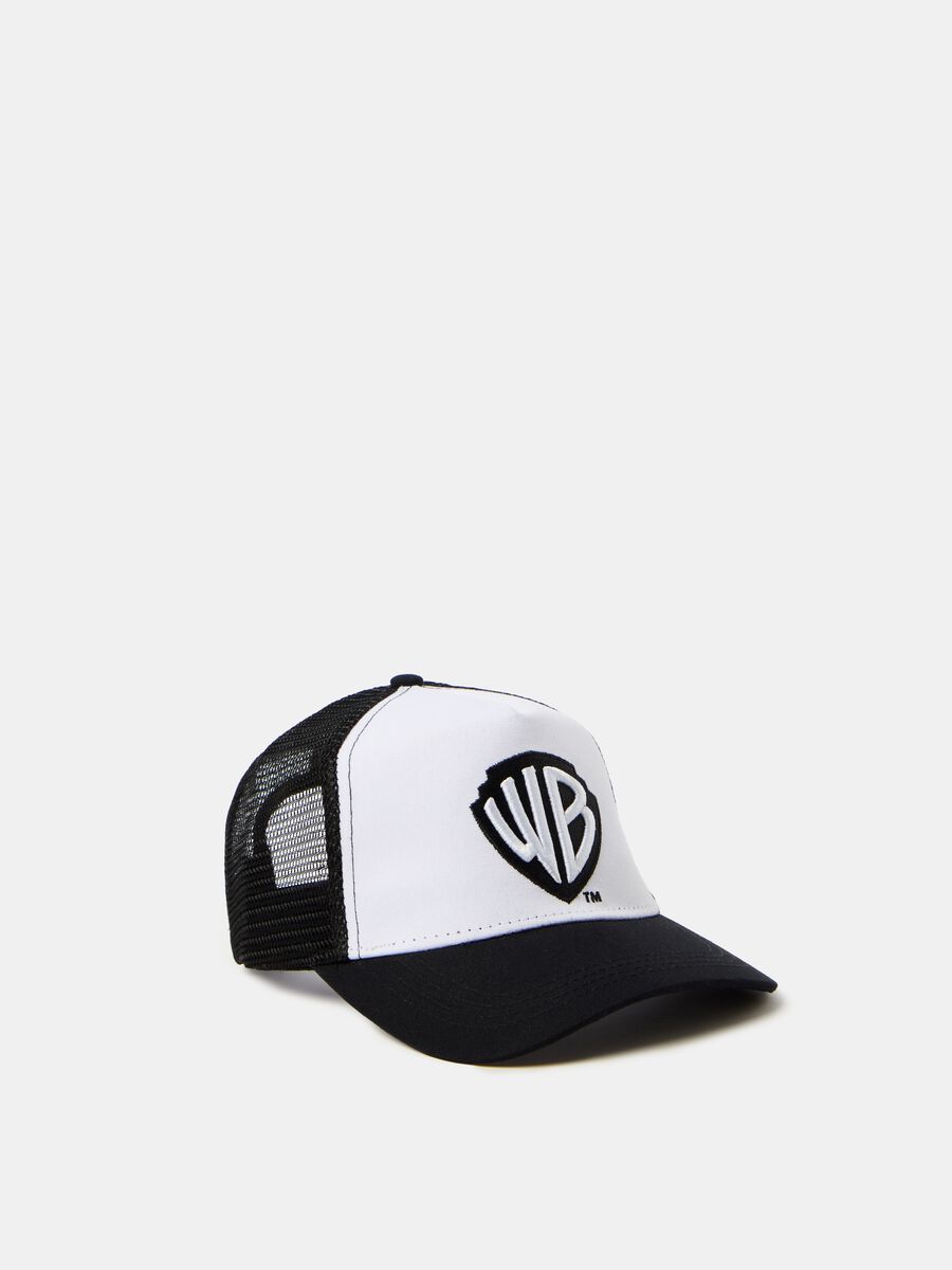 Baseball cap with Warner Bros logo_0