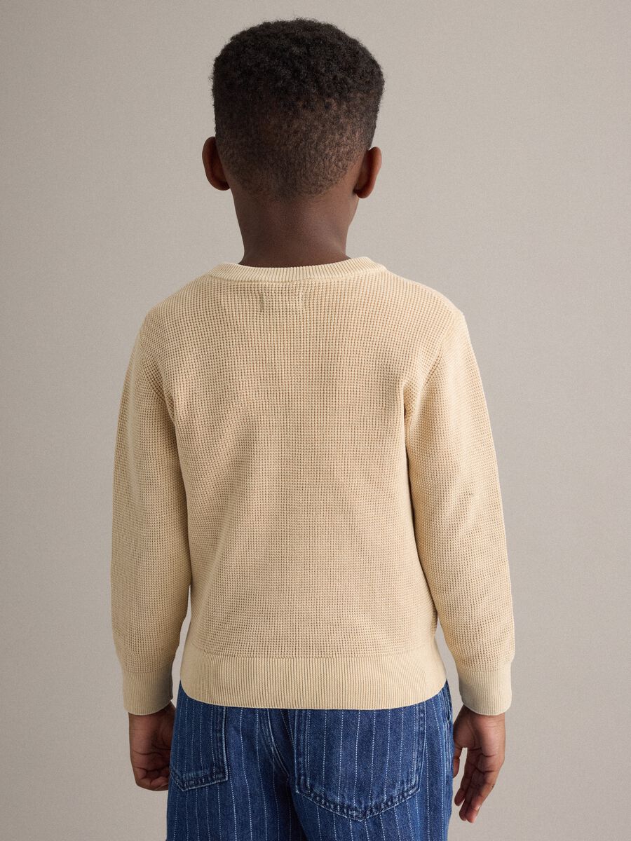 Child's regular fit beige crew neck pure cotton jumper_1