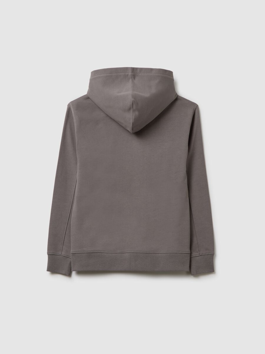 Boys' grey pure cotton sweatshirt with regular fit_1