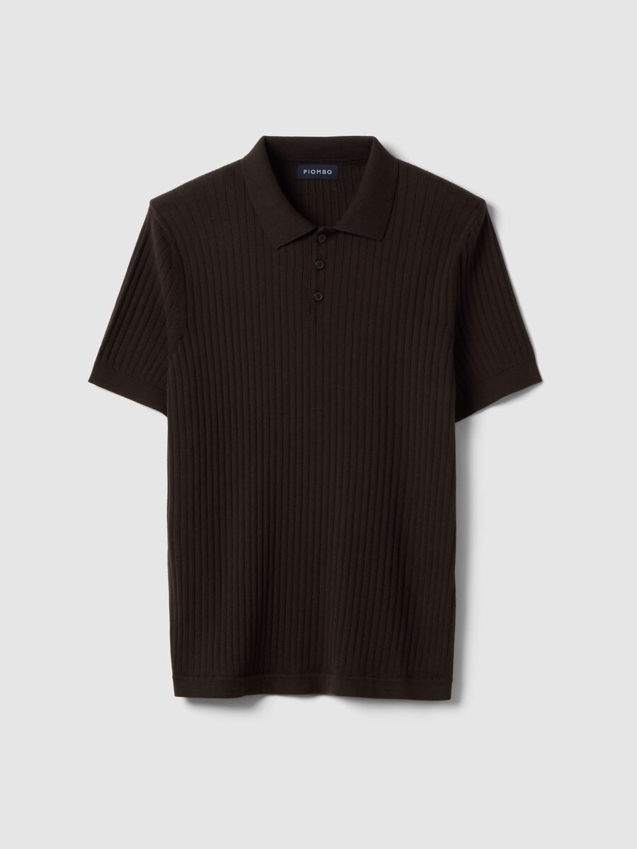 Brown striped short-sleeve pure cotton polo in regular fit_4