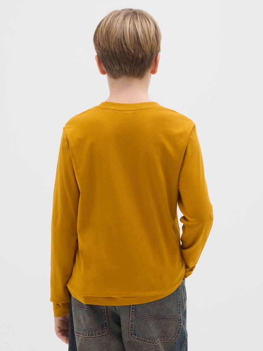 T-shirt da ragazzo in puro cotone marrone regular fit_1