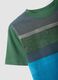 Multicolour striped pure cotton regular fit t-shirt for kids_2