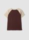 Brown stretch cotton crew-neck T-shirt with contrasting sleeves_5