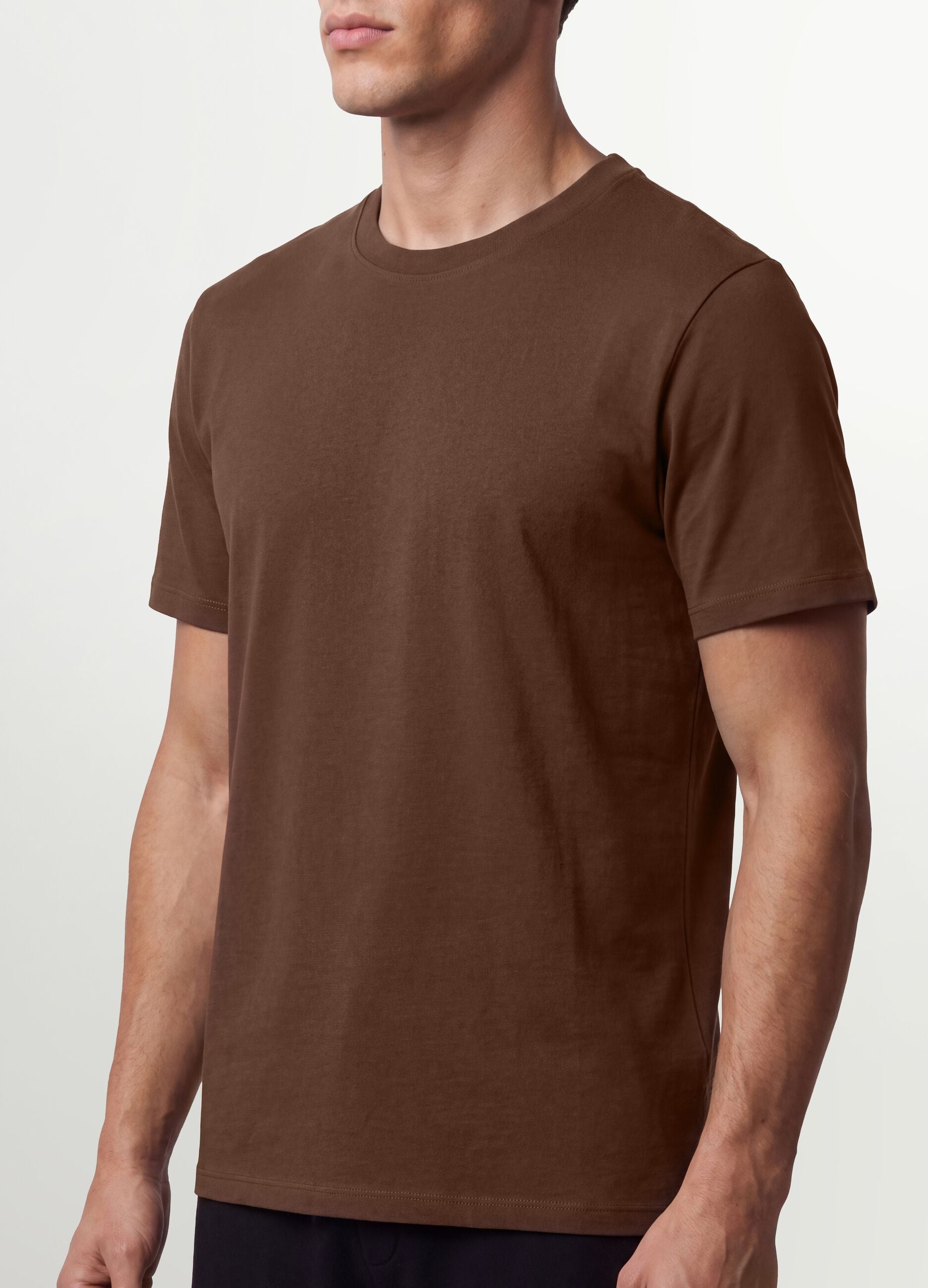 Brown regular-fit T-shirt in pure organic cotton jersey