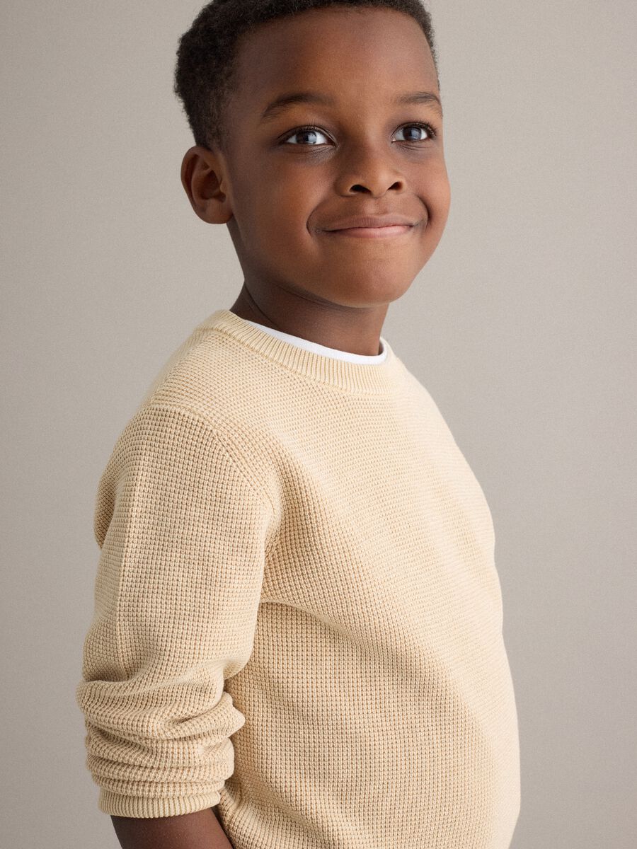 Child's regular fit beige crew neck pure cotton jumper_2