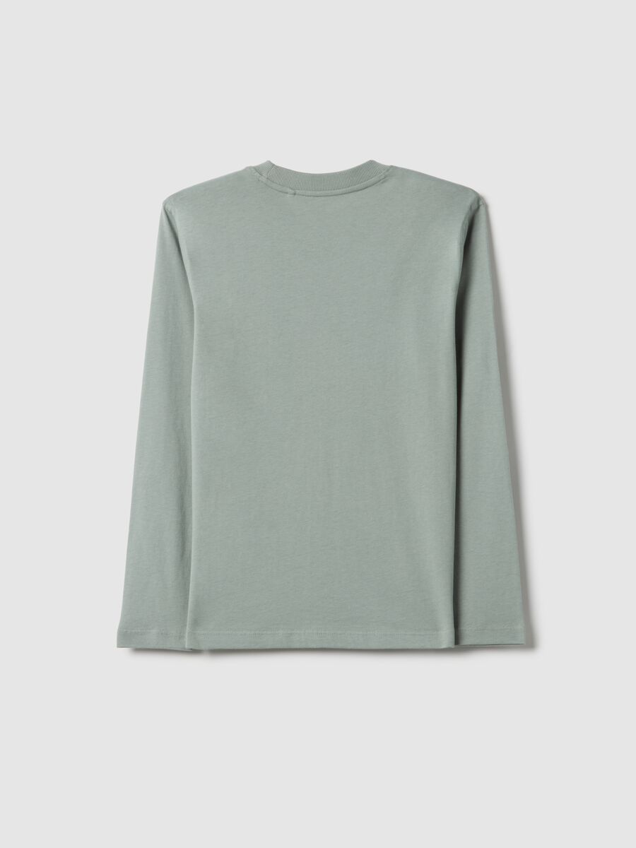 T-shirt in puro cotone grigia regular fit con stampa per ragazzo_4