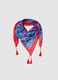 Multicolour Scarf with Tassels_0