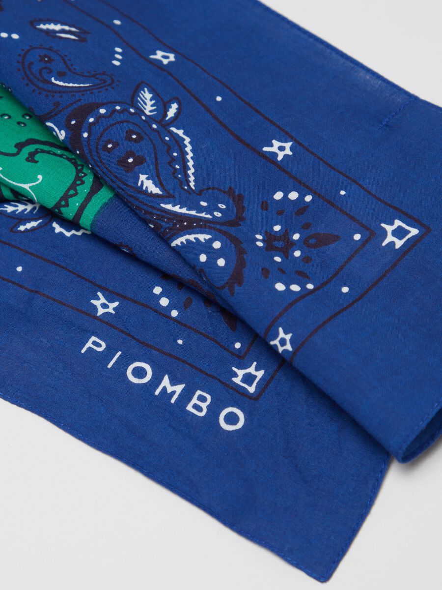 Foulard in cotone con fantasia paisley_2