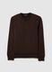 Pure cotton brown regular fit sweater_4